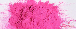 pressed powder terbaik