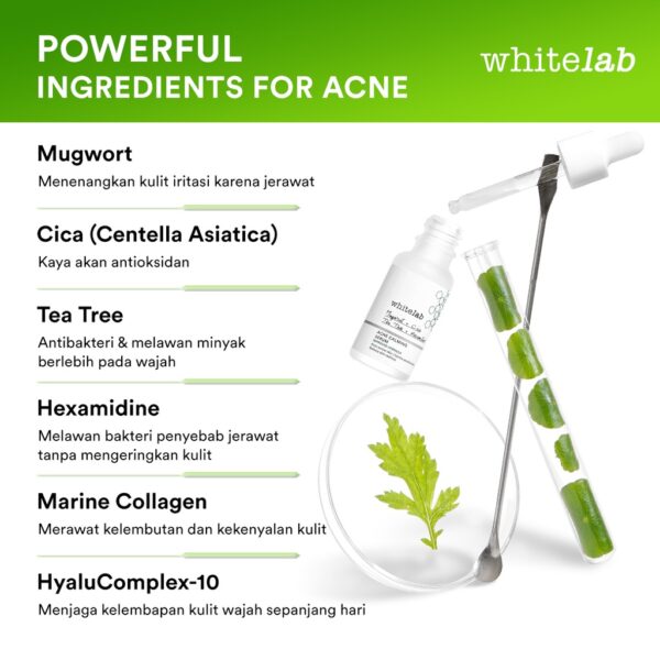 88ea44ccc4ac816f4e03894c3043ddd6 Whitelab Acne Calming Serum